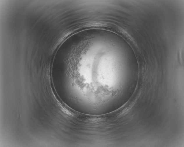 X0000061741033200512161644