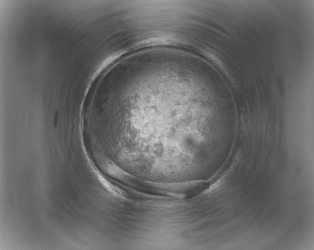 X0000061741034200512161644