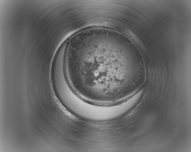 X0000061741036200512161644