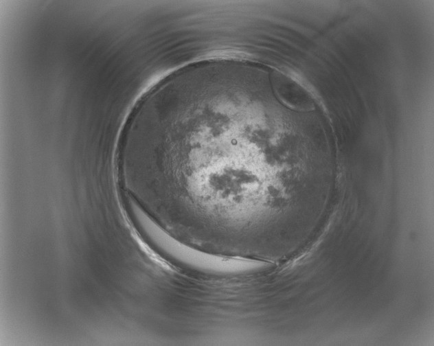 X0000061741037200512161644