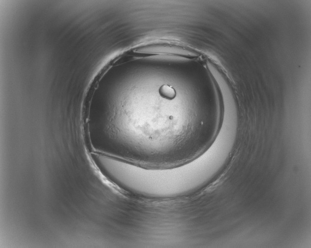 X0000061741038200512161644