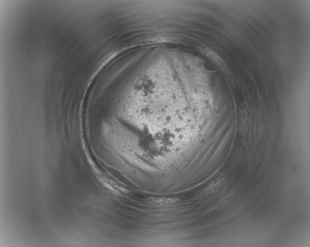 X0000061741039200512161644