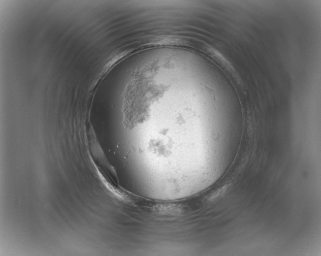 X0000061741041200512161644