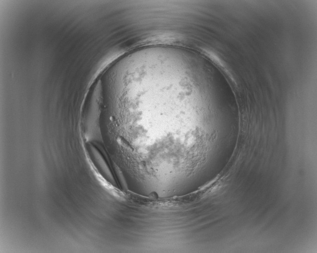 X0000061741042200512161644