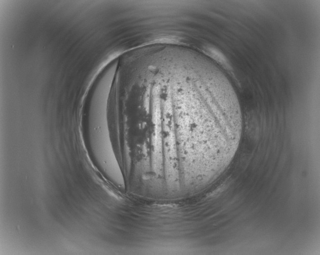 X0000061741043200512161644