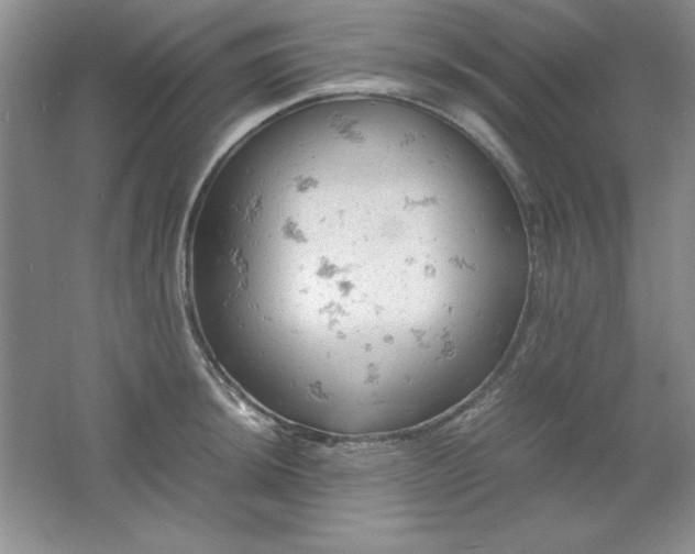 X0000061741044200512161644