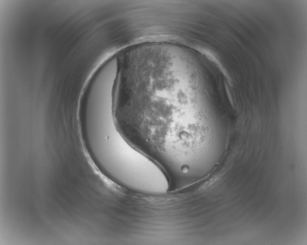 X0000061741046200512161644