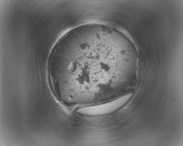 X0000061741048200512161644