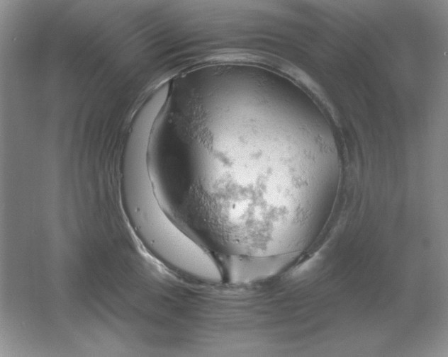 X0000061741049200512161644