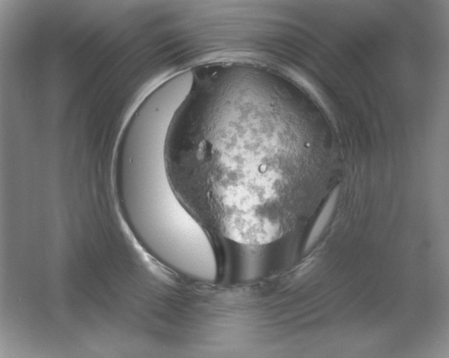 X0000061741050200512161644