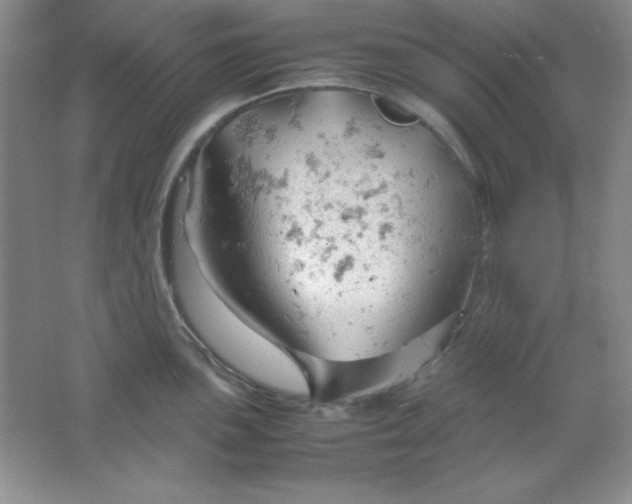 X0000061741051200512161644