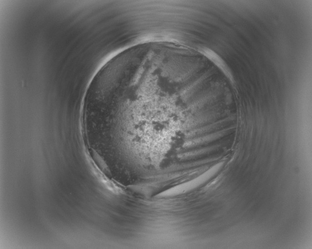 X0000061741052200512161644