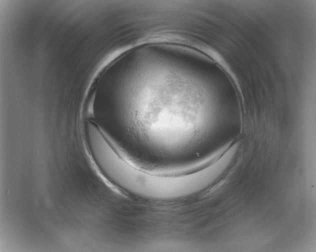 X0000061741053200512161644