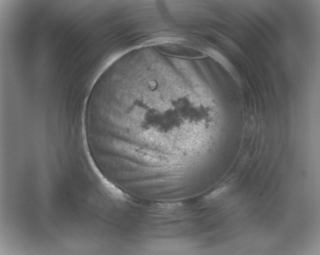 X0000061741055200512161644