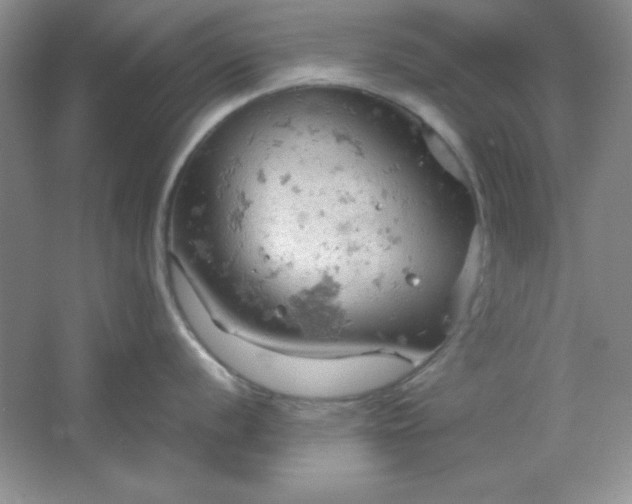 X0000061741056200512161644