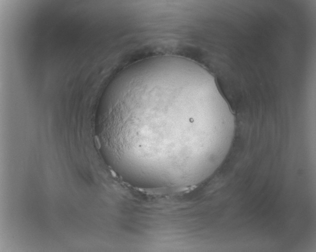 X0000061741057200512161644