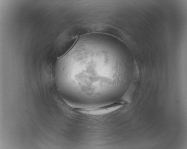 X0000061741058200512161644