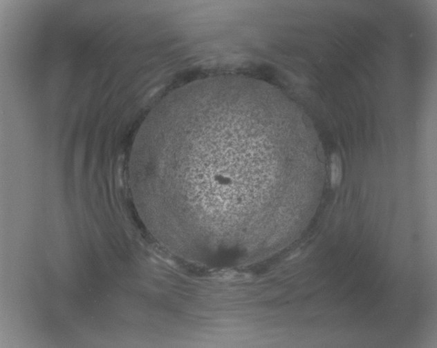 X0000061741059200512161644