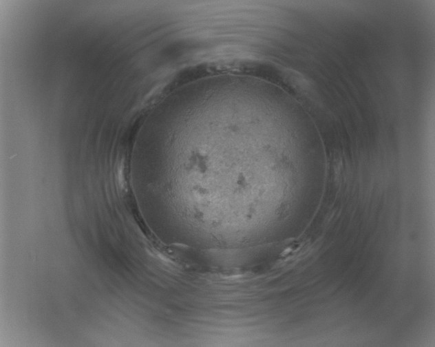 X0000061741060200512161644