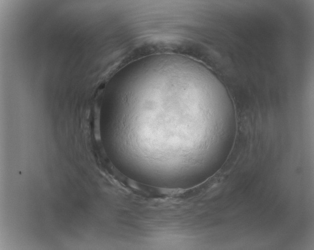 X0000061741061200512161644