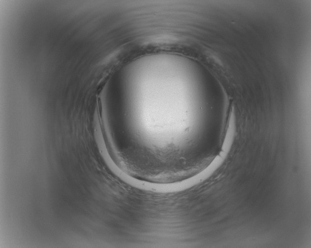 X0000061741062200512161644