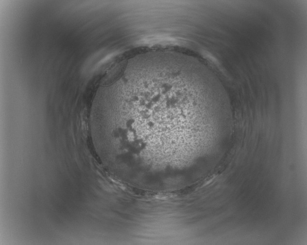 X0000061741063200512161644