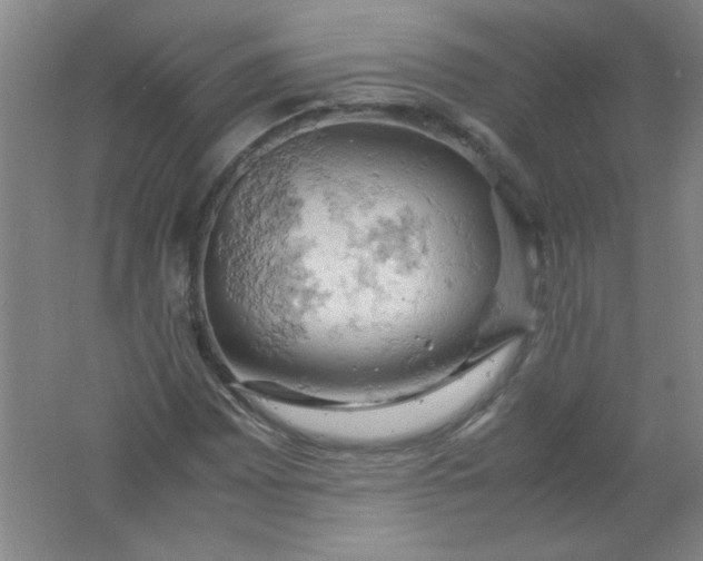 X0000061741065200512161644