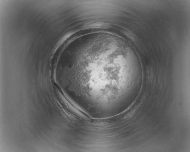 X0000061741066200512161643