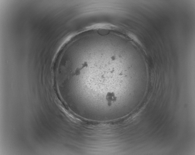 X0000061741067200512161643