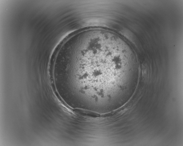 X0000061741068200512161643