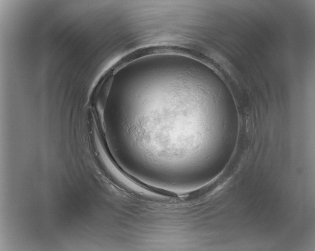 X0000061741069200512161643