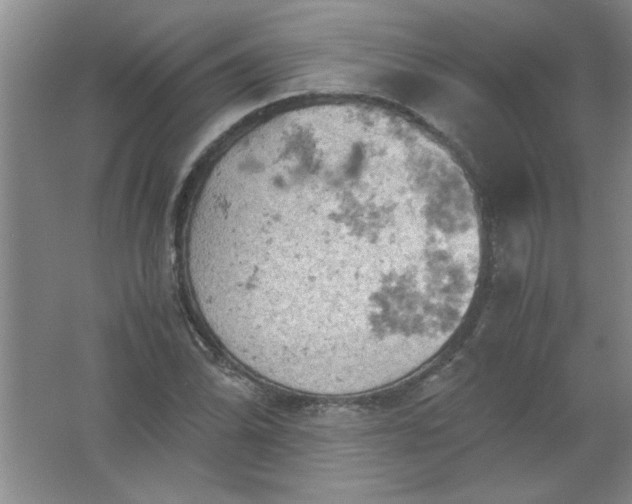 X0000061741070200512161643