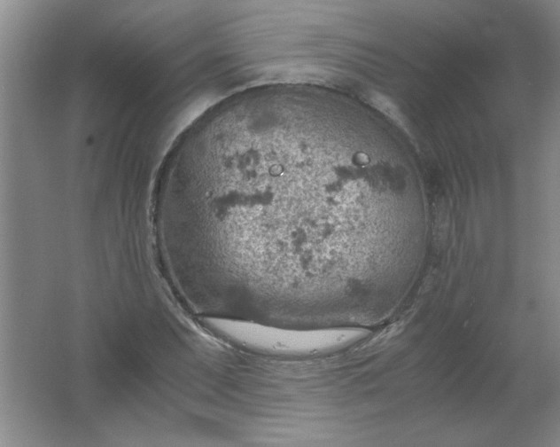 X0000061741071200512161643