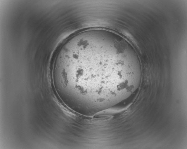 X0000061741072200512161643