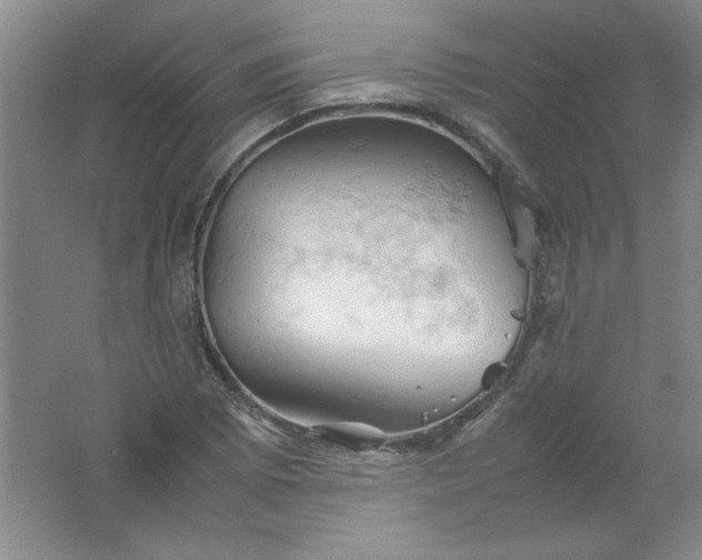 X0000061741073200512161643