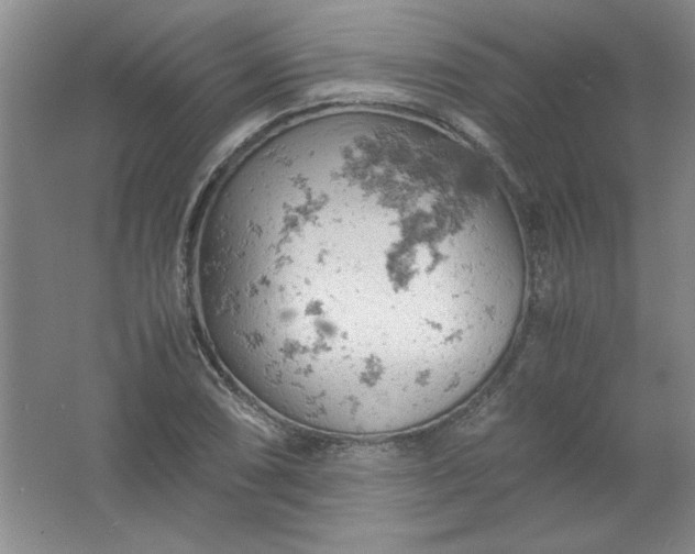 X0000061741074200512161643