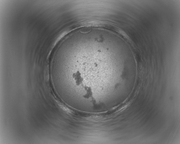 X0000061741075200512161643