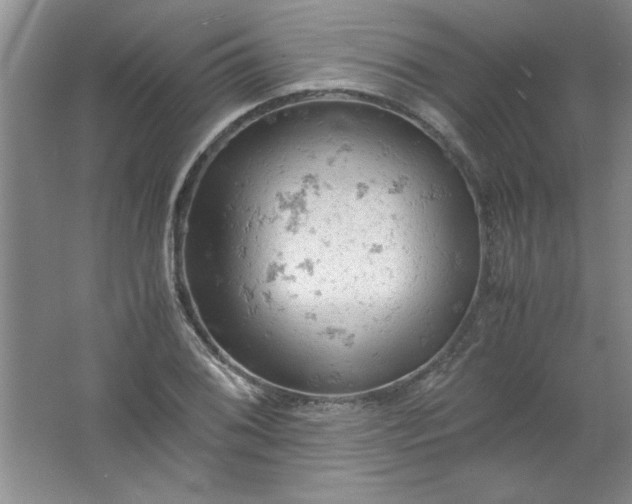 X0000061741076200512161643