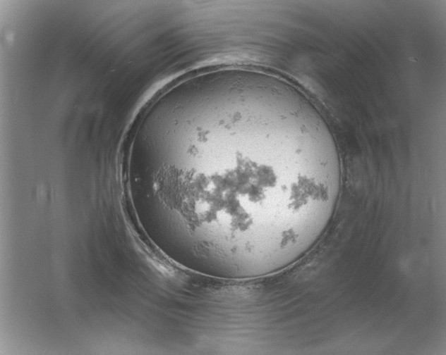 X0000061741078200512161643