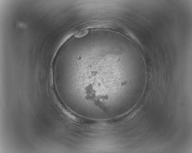 X0000061741079200512161643