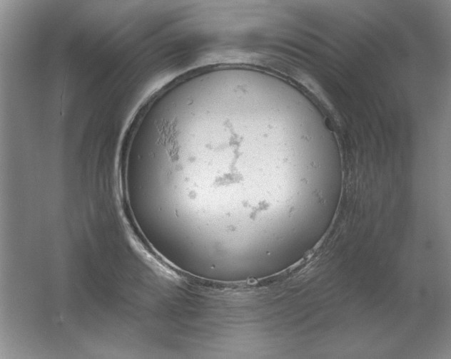 X0000061741080200512161643