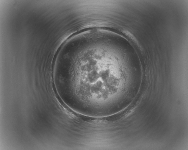 X0000061741081200512161643