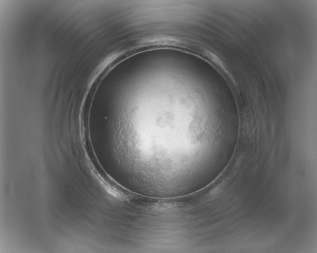 X0000061741082200512161643