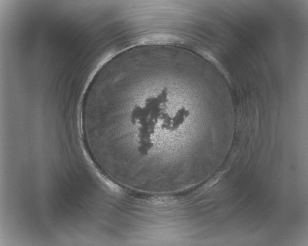 X0000061741083200512161643