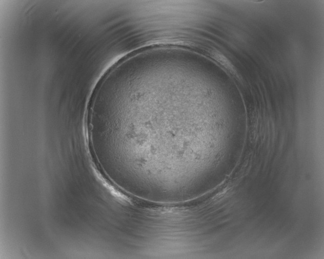 X0000061741084200512161643