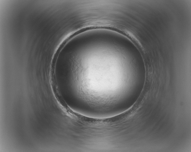 X0000061741085200512161643