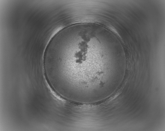 X0000061741087200512161643