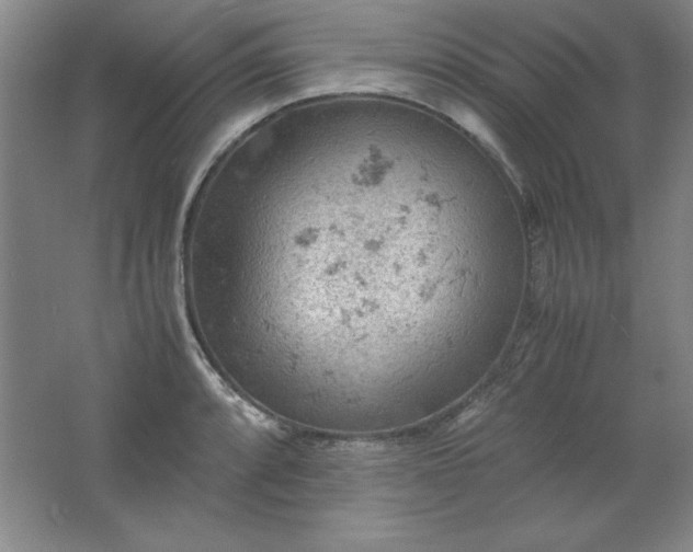 X0000061741088200512161643