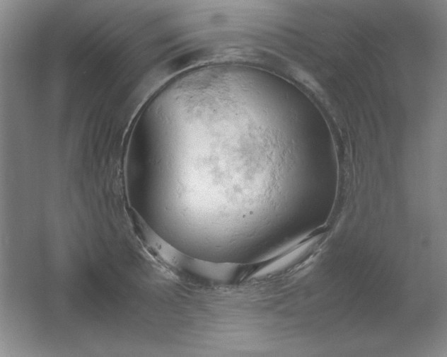 X0000061741089200512161643