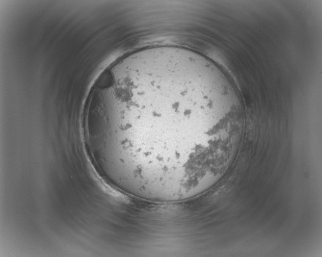 X0000061741090200512161643